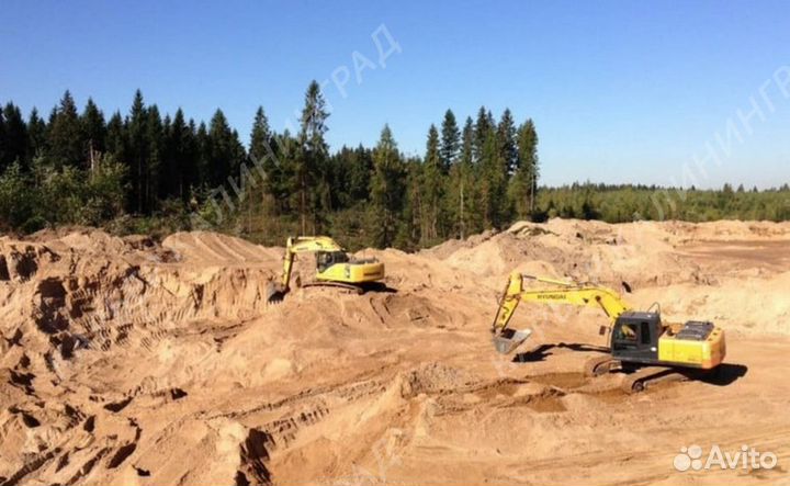 Песок тараканом