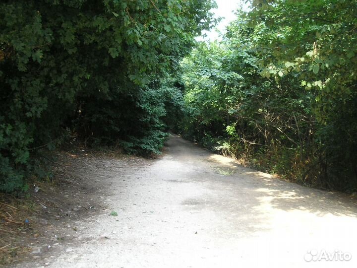 Бег по утрам