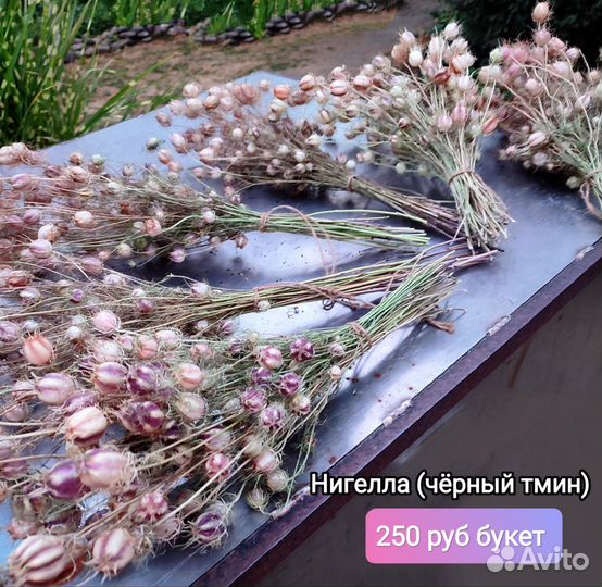 Букеты сухоцветов Нигелла черный тмин