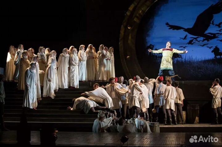 Билеты в большой театр Князь Игорь 9.09