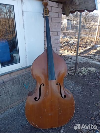 Контрабас