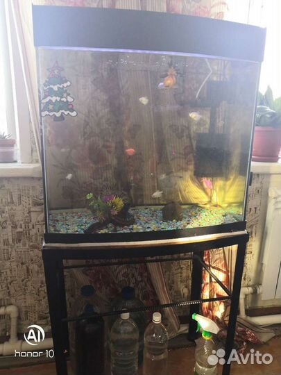Аквариум