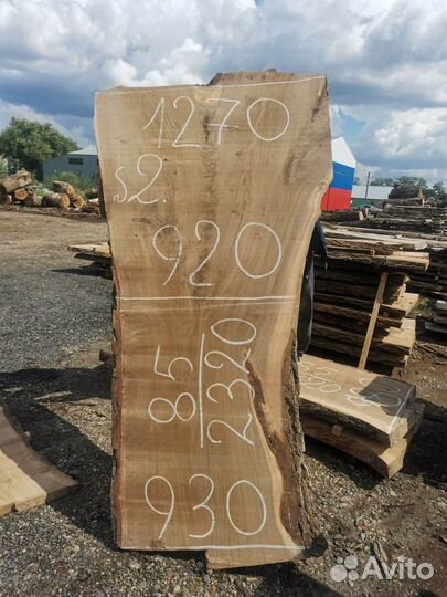 Слэбы карагача