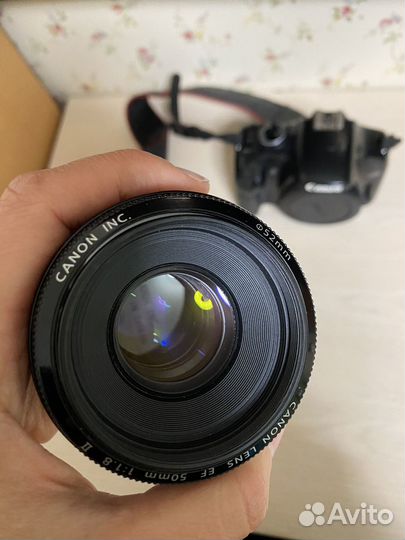 Canon 450d+Объектив 50mm f 1.8 ii