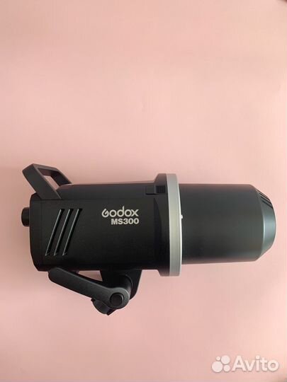 Godox ms300