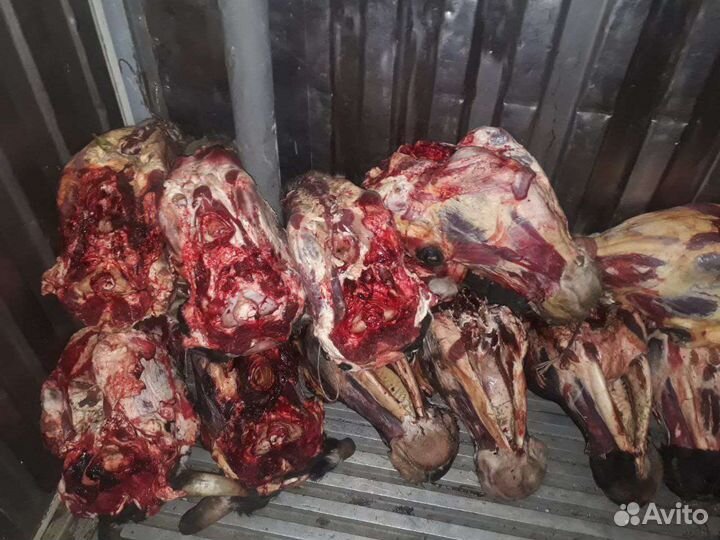 Голова говяжья