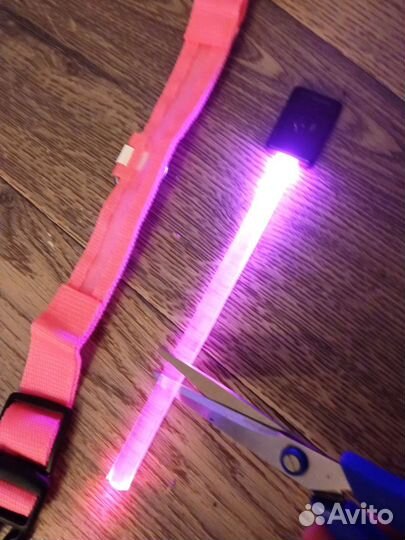 Светящийся ошейник для собак