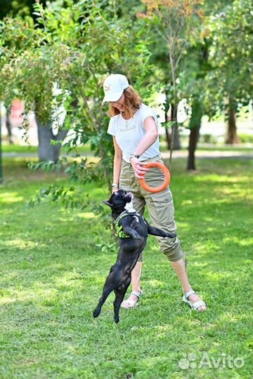 Услуги кинолога