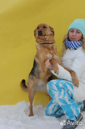 Баффи предали и отдали в приют