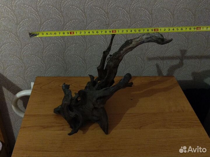Коряга большая