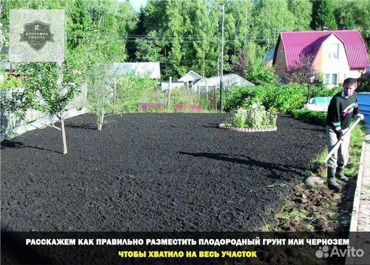 Купить землю чернозем