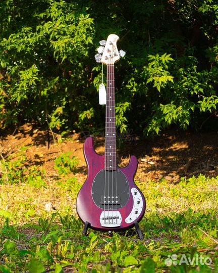 Sterling RAY4-WS-R1 бас-гитара StingRay, цвет Wal