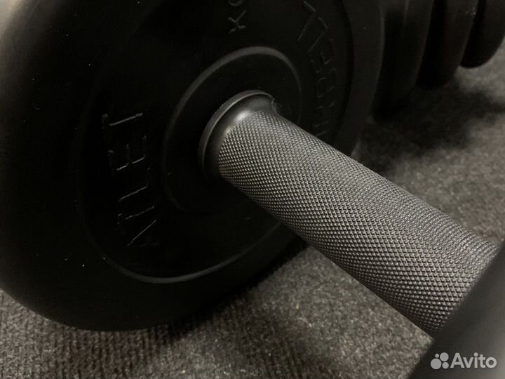 Гантели разборные 21,5 кг каждая, пара, 25 мм