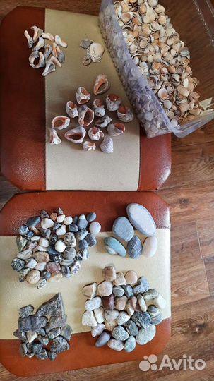 Принадлежности к аквариуму