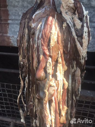 Мясо для собак