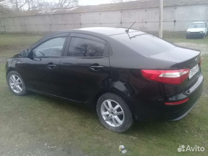 Овцы бараны ягнята