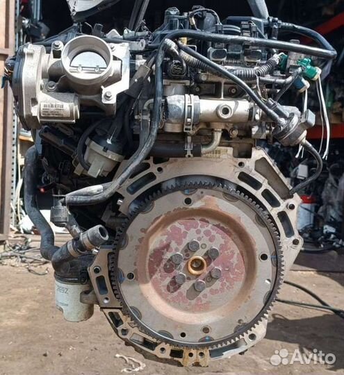 Двигатель aoda aodb aobc aoba Ford Focus 2 restail
