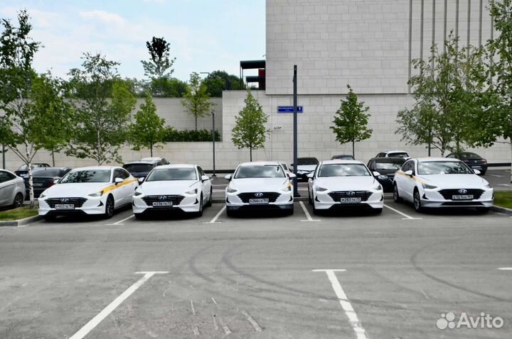 Аренда авто с водителем