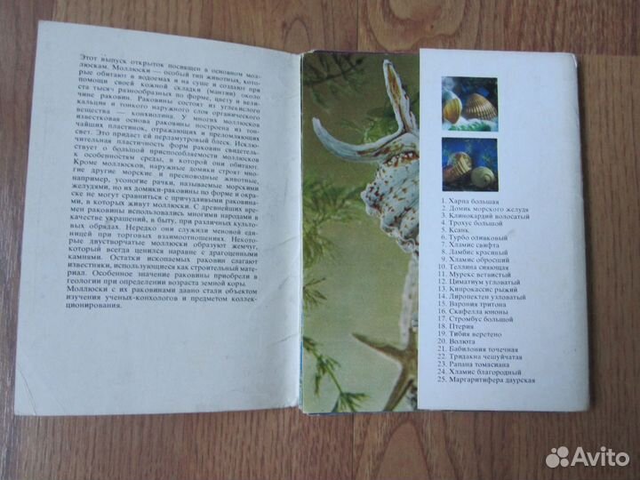 Комплект открыток(Принесите домой океан) - 1974 г