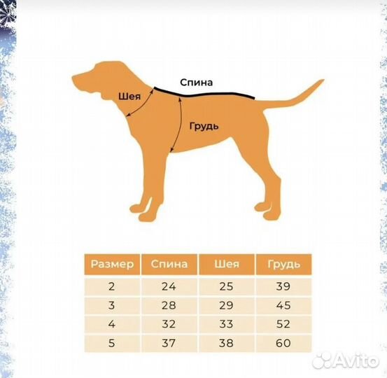 Одежда для средних собак
