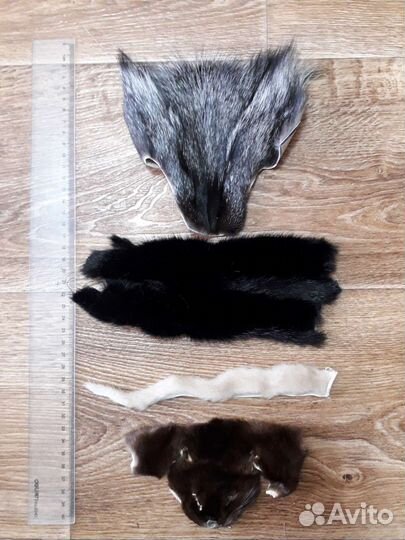 Шкурка животного, лоскут меха, микс