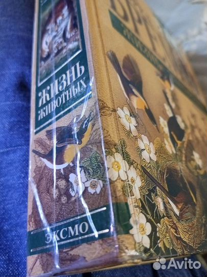 Альфред Брем 