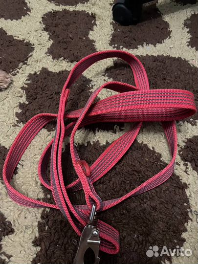 Поводок для собак