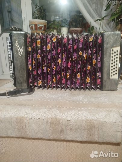 Гармонь чайка