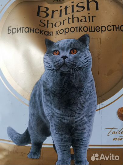 Корм для кошек роял канин 4кг Британец royal canin