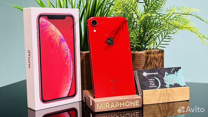 iPhone Xr, 128 ГБ