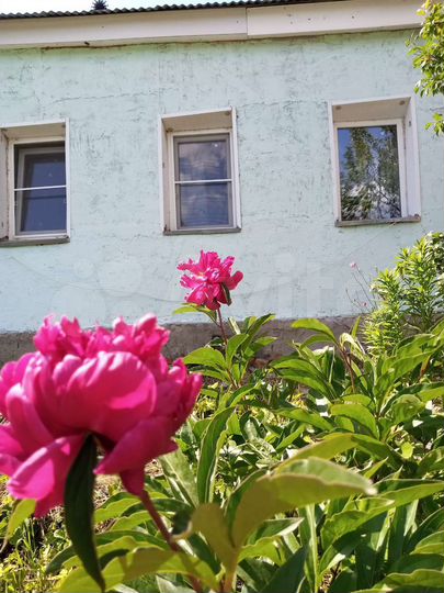 Дом 68 м² на участке 7,7 сот.