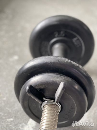 Гантели разборные