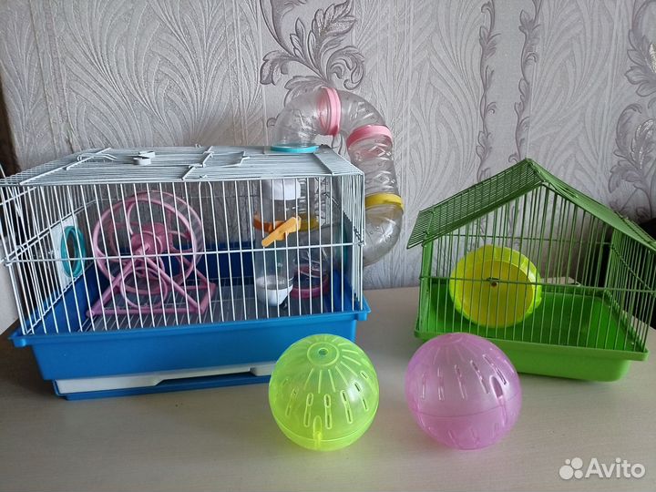 Клетка