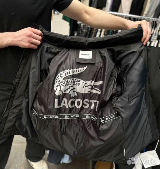 Зимние куртки Lacoste