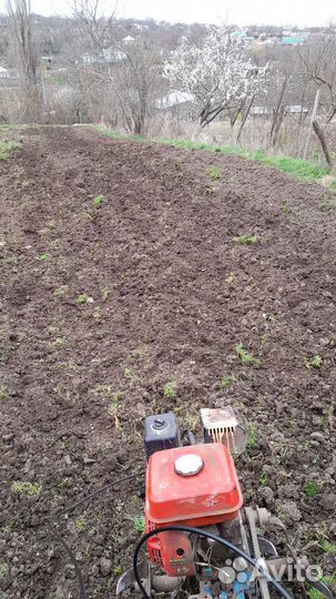 Благоустройство сада