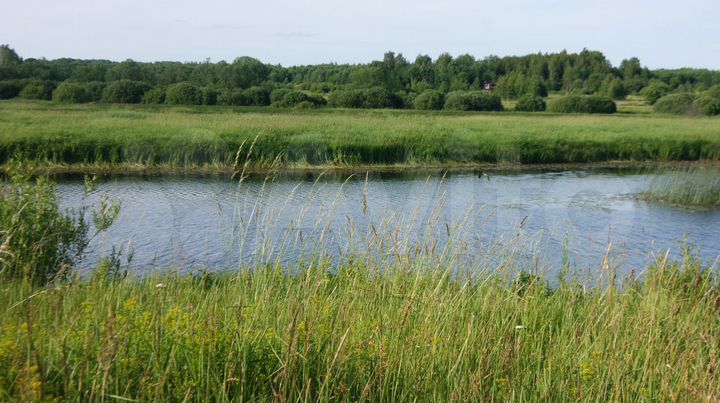 Участок 4,4 га (СНТ, ДНП)