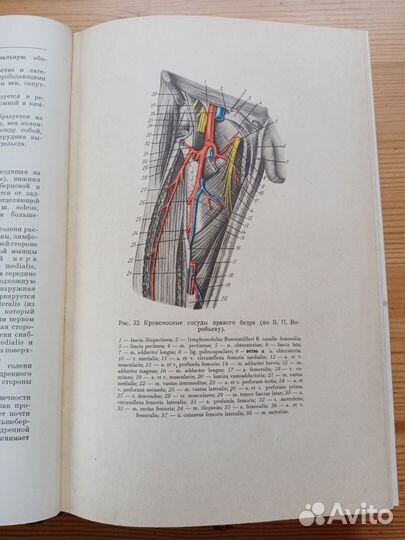 Руководство по хирургии. 1964 год. Том 10