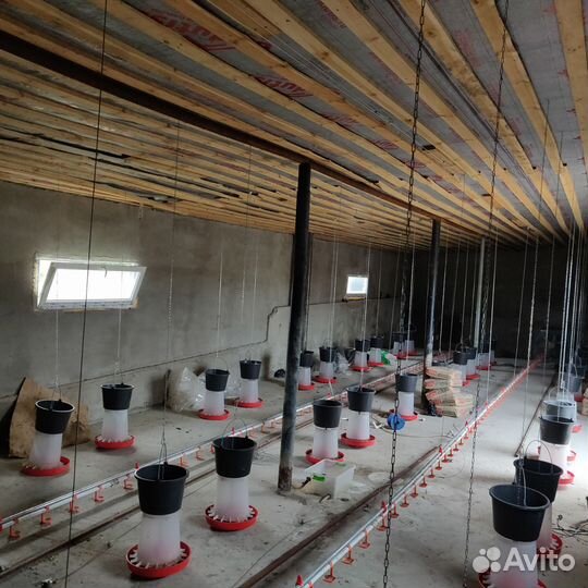 Оборудование для птичника, установка курятника