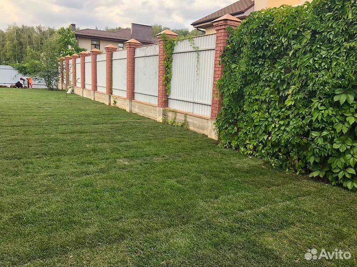 Укладка рулонного газона