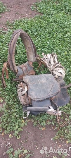 Сбруя для лошади