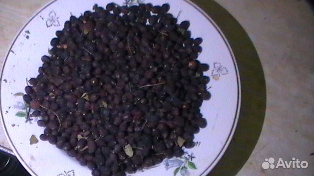 Боярышник- шиповник