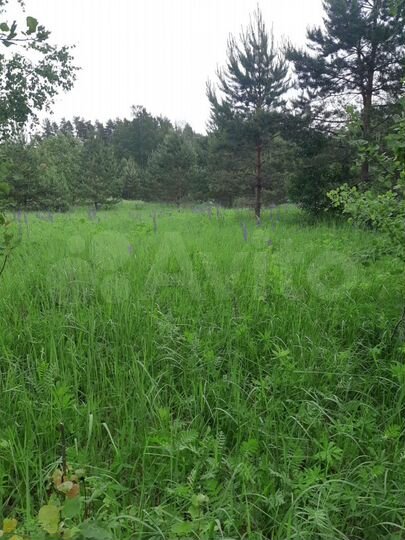 Участок 57 сот. (СНТ, ДНП)