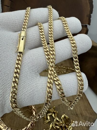 Золотая цепь панцирная