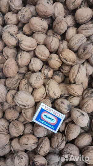 Грецкий орех