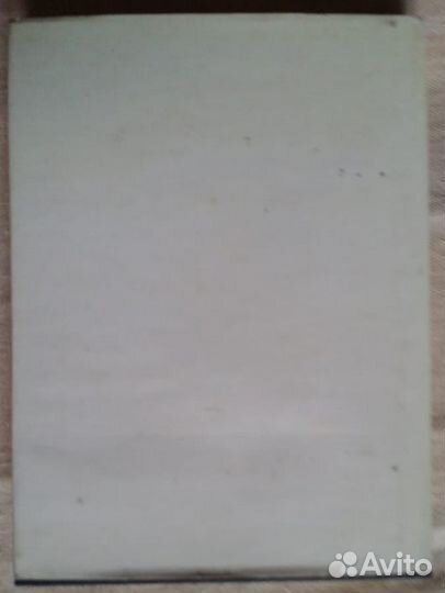 М. Чижов. Среди миниатюристов