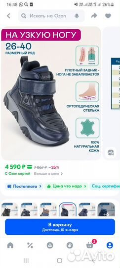 Ботинки демисезонные