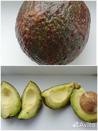 Авокадо Хасс свежее