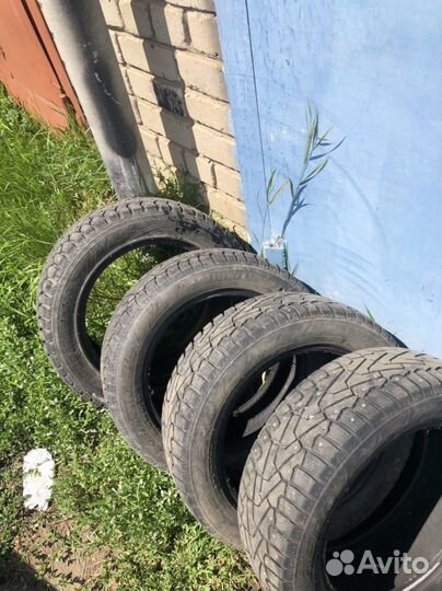 Pirelli Ice Zero 205/55 R16