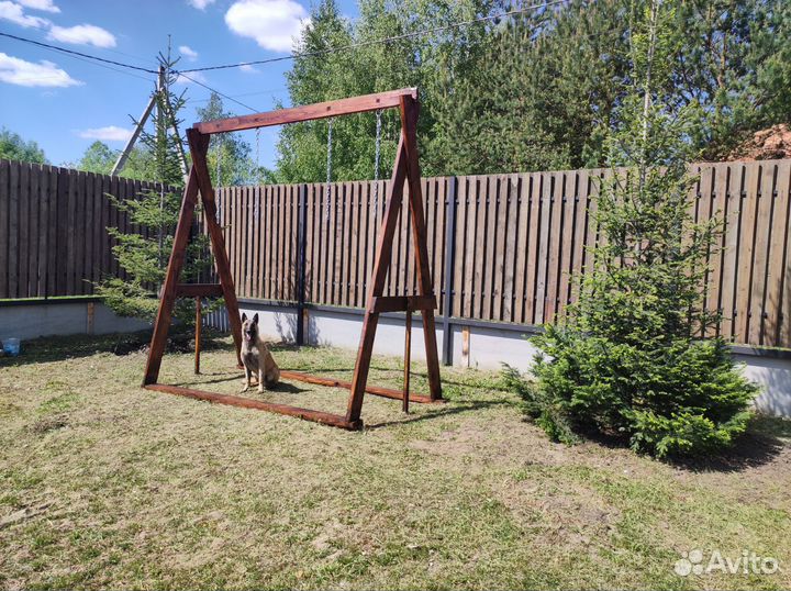 Собака малинуа