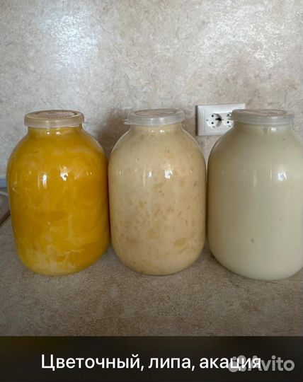 Мед алтайский